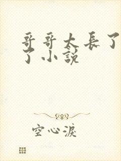 哥哥太长了不要了小说