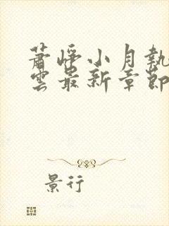 萧峥小月执掌风云最新章节