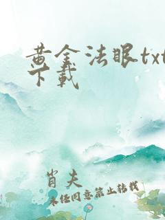 黄金法眼txt下载