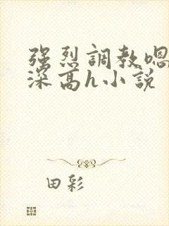 强烈调教嗯啊好深高h小说