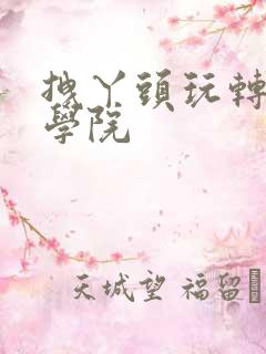 拽丫头玩转美男学院