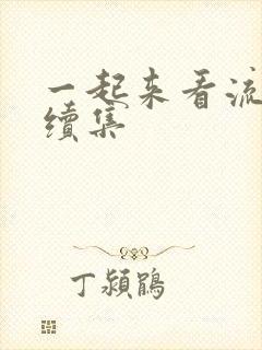 一起来看流星雨续集