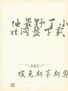 他最野了小说txt网盘下载