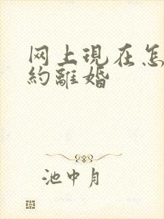 网上现在怎么预约离婚