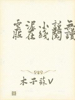 云泥小说无删减版在线阅读