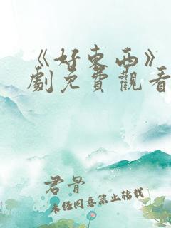 《好东西》电视剧免费观看高清