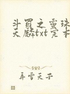 斗罗之灵珠神剑天麟txt完本免费下载