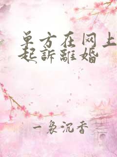 单方在网上怎么起诉离婚