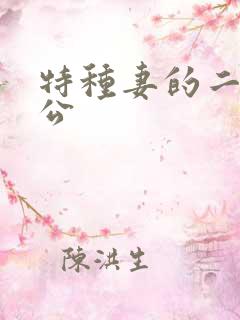 特种妻的二手老公