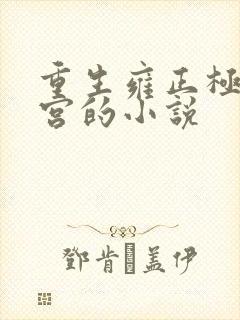 重生雍正极品后宫的小说