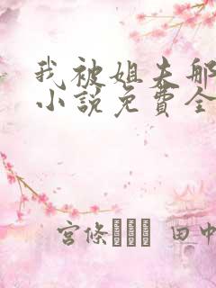 我被姐夫那些年小说免费全文阅读