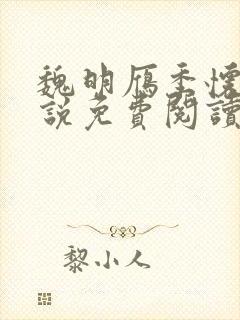 魏明雁季怀舟小说免费阅读最新章节