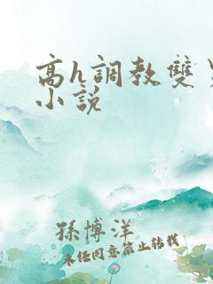 高h调教双男主小说