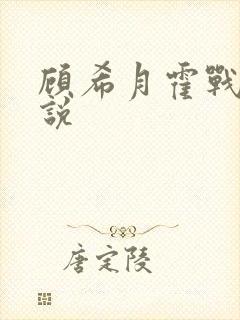 顾希月霍战霆小说