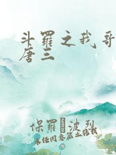 斗罗之我哥哥是唐三