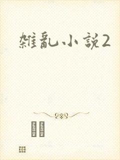 杂乱小说2