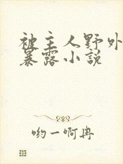 被主人野外调教暴露小说