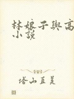 林娘子与高衙内小说