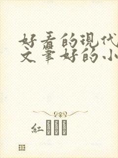 好看的现代言情文笔好的小说