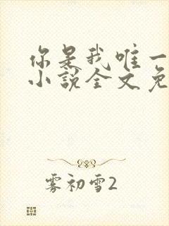 你是我唯一的光小说全文免费阅读