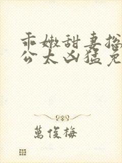 乖嫩甜妻总裁老公太凶猛免费阅读