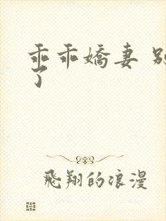 乖乖娇妻 别闹了