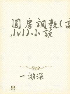 圆房调教(高h,1v1)小说
