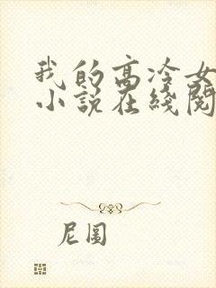 我的高冷女总裁小说在线阅读