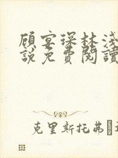 顾宴琛林浅月小说免费阅读最新章节