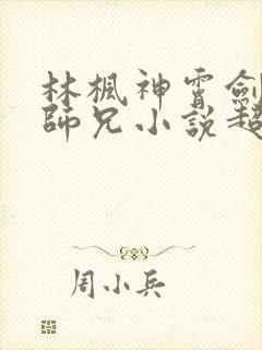 林枫神霄剑宗大师兄小说超前更新