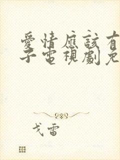 爱情应该有的样子电视剧免费观看