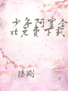 少年阿宾全本txt免费下载