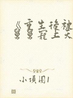 《重生后被渣男舅舅宠上天》