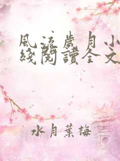 风流岁月小说在线阅读全文无弹窗