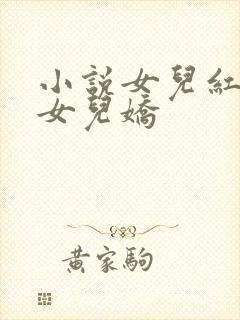 小说女儿红 续女儿娇