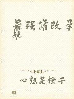 最强修改孕妇系统