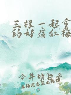 三根一起会坏掉的好痛红梅