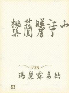 桃花映江山第几集圆房了