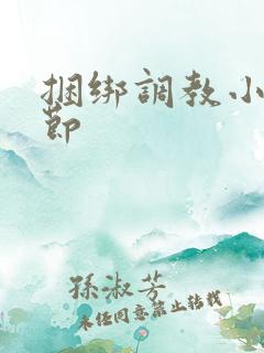 捆绑调教小说章节