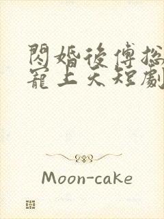 闪婚后傅总把我宠上天短剧