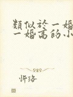 类似于一婚还比一婚高的小说