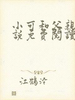 小可和父亲的小说免费阅读