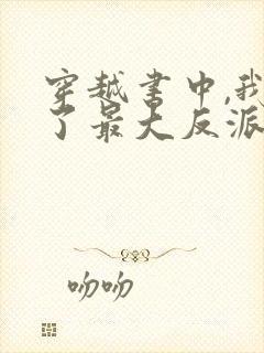 穿越书中,我成了最大反派