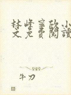 林峰宁欣小说全文免费阅读笔趣阁全文