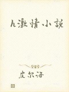 h激情小说