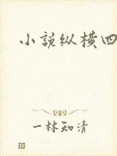 小说纵横四海