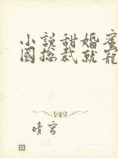 小说甜婚蜜爱帝国总裁就宠我