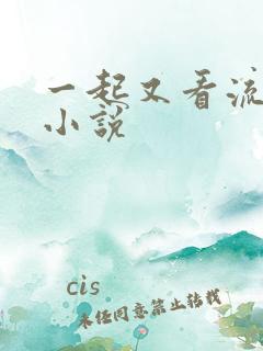 一起又看流星雨小说