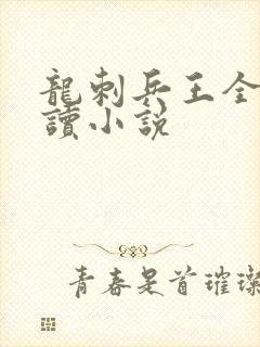 龙刺兵王全文阅读小说
