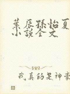 叶辰孙怡夏若雪小说全文